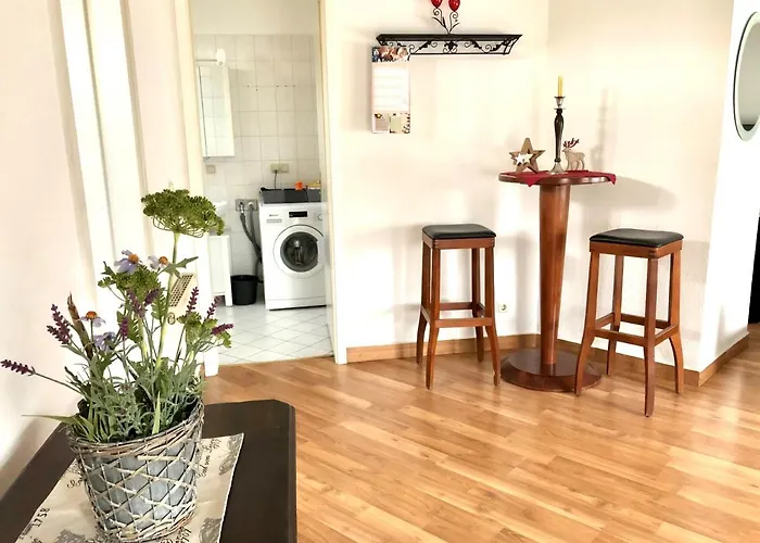 Ueber Den Daechern Der Loebervorstadt Эрфурт